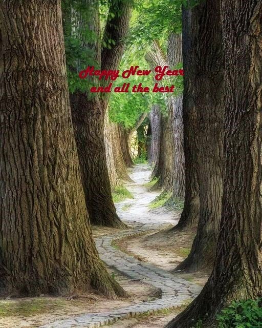 I wish my beloved and much appreciated fellow inhabitants of planet Earth a good morning, a wonderful New Year 2024 and a blessed day. Even if the path of life will not always be direct, always remember that the journey is the reward. May God bless you ❤️💙💚🌿🌱☘️🌲🌳🍀💚