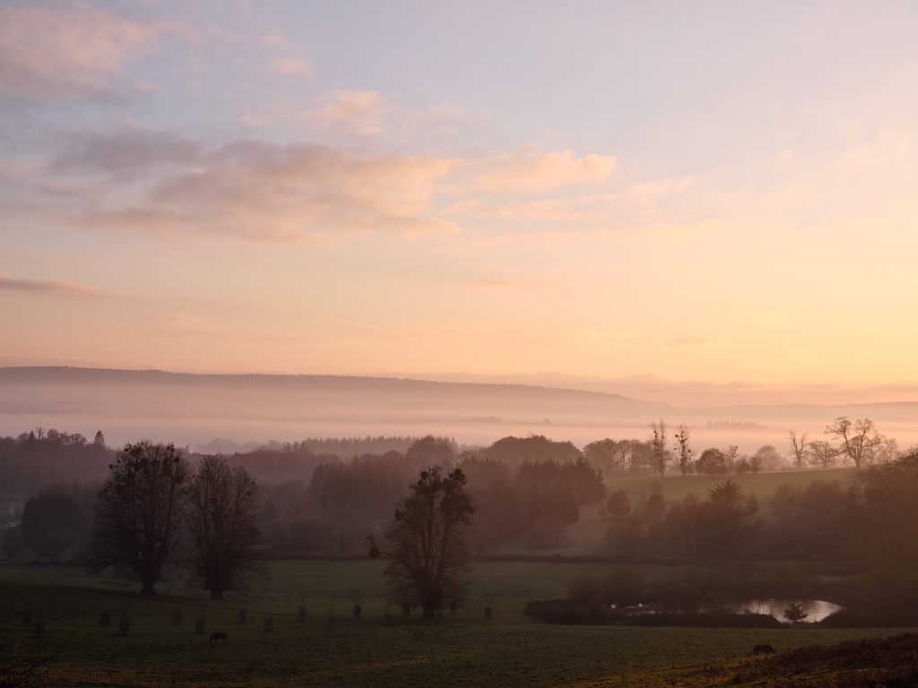 Cowdray Estate tweet media