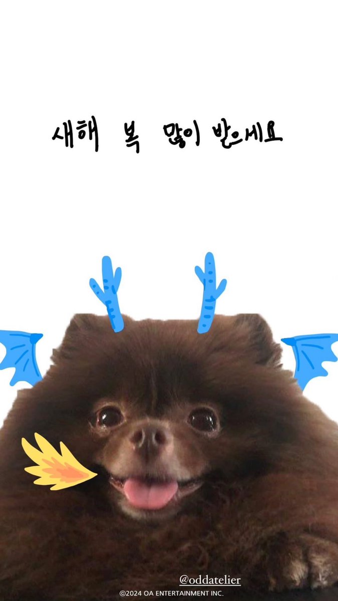 젠바 🙈💕 tweet media