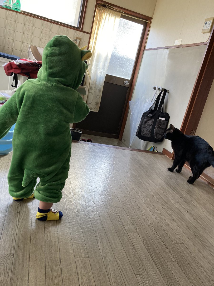 chorisxe10aru's tweet photo. 地震⁉︎揺れた💦 https://t.co/uVfGsvxy8x