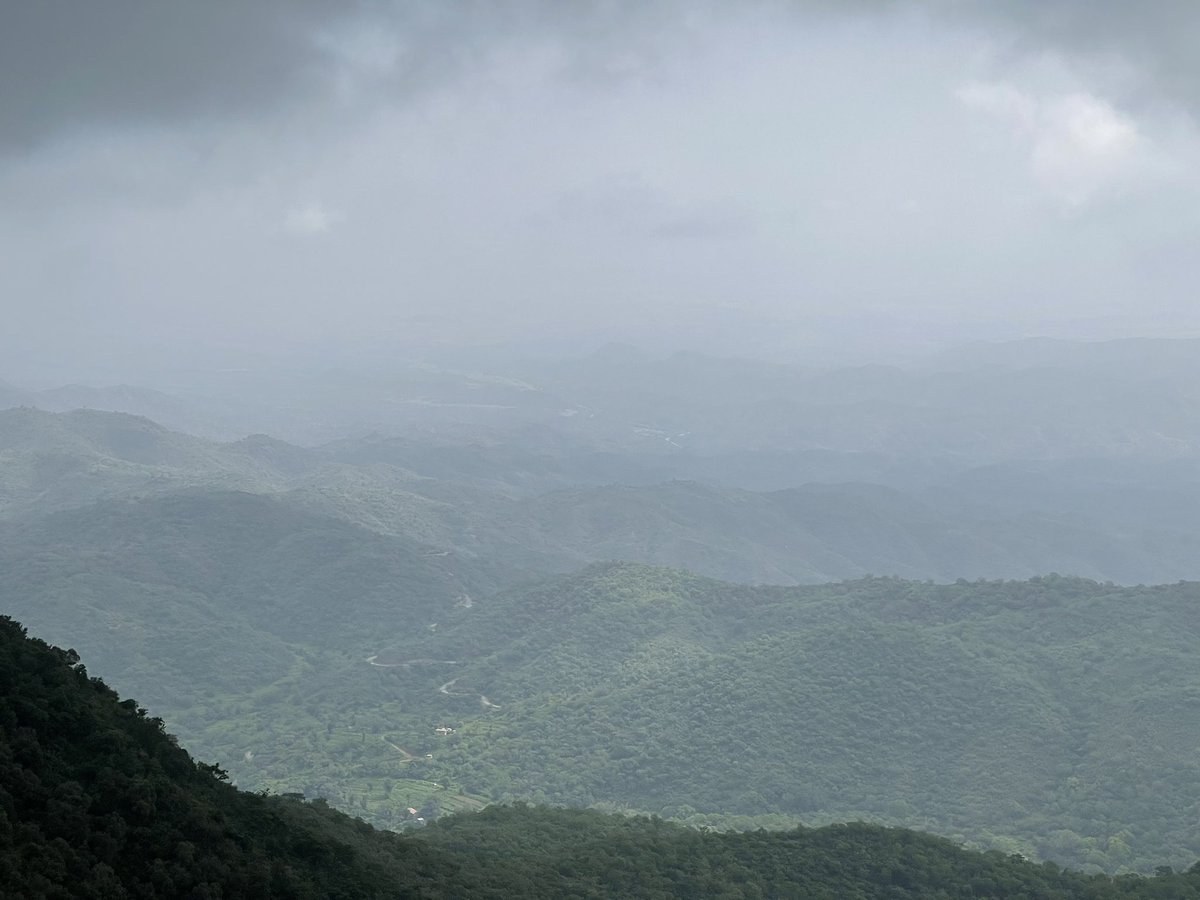 The higher the more beautiful