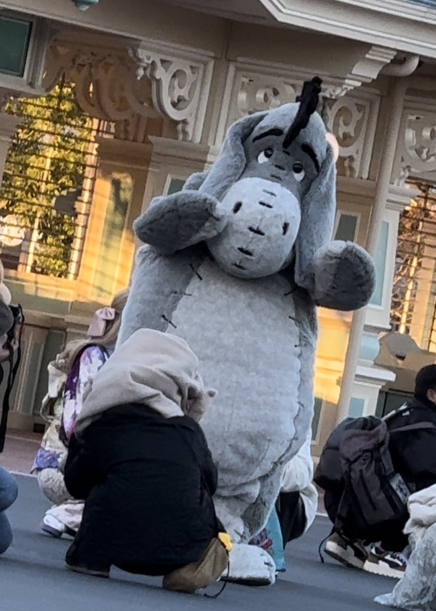 エントフリグリ中に地震来た
イーヨーが大丈夫だよってずっと囲みのゲスト励ましてる
#TDR_now