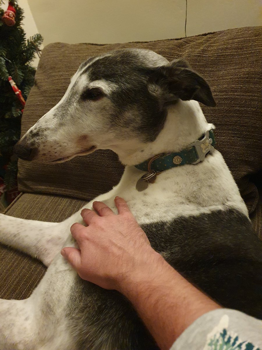 kristian sayer tweet media