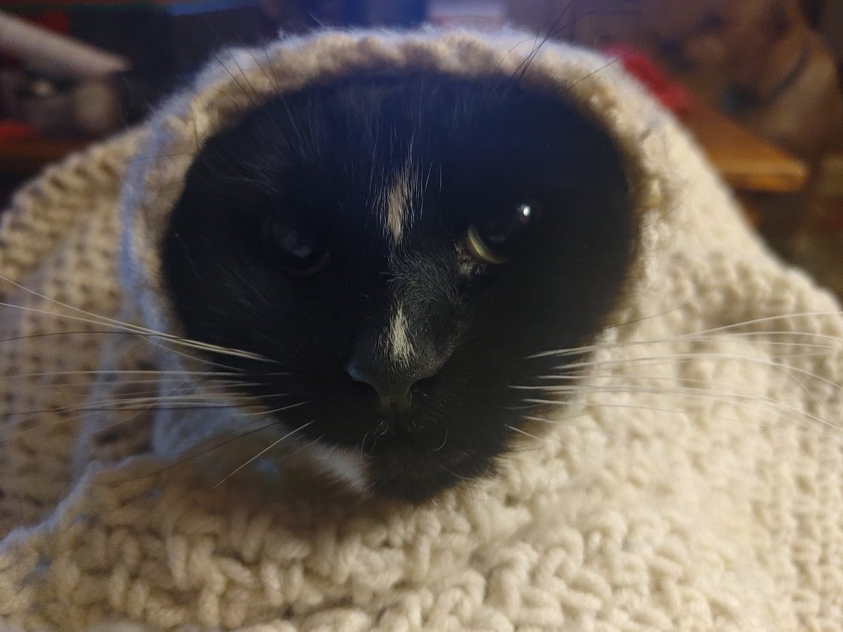 x - becca 🌻✨ tweet media