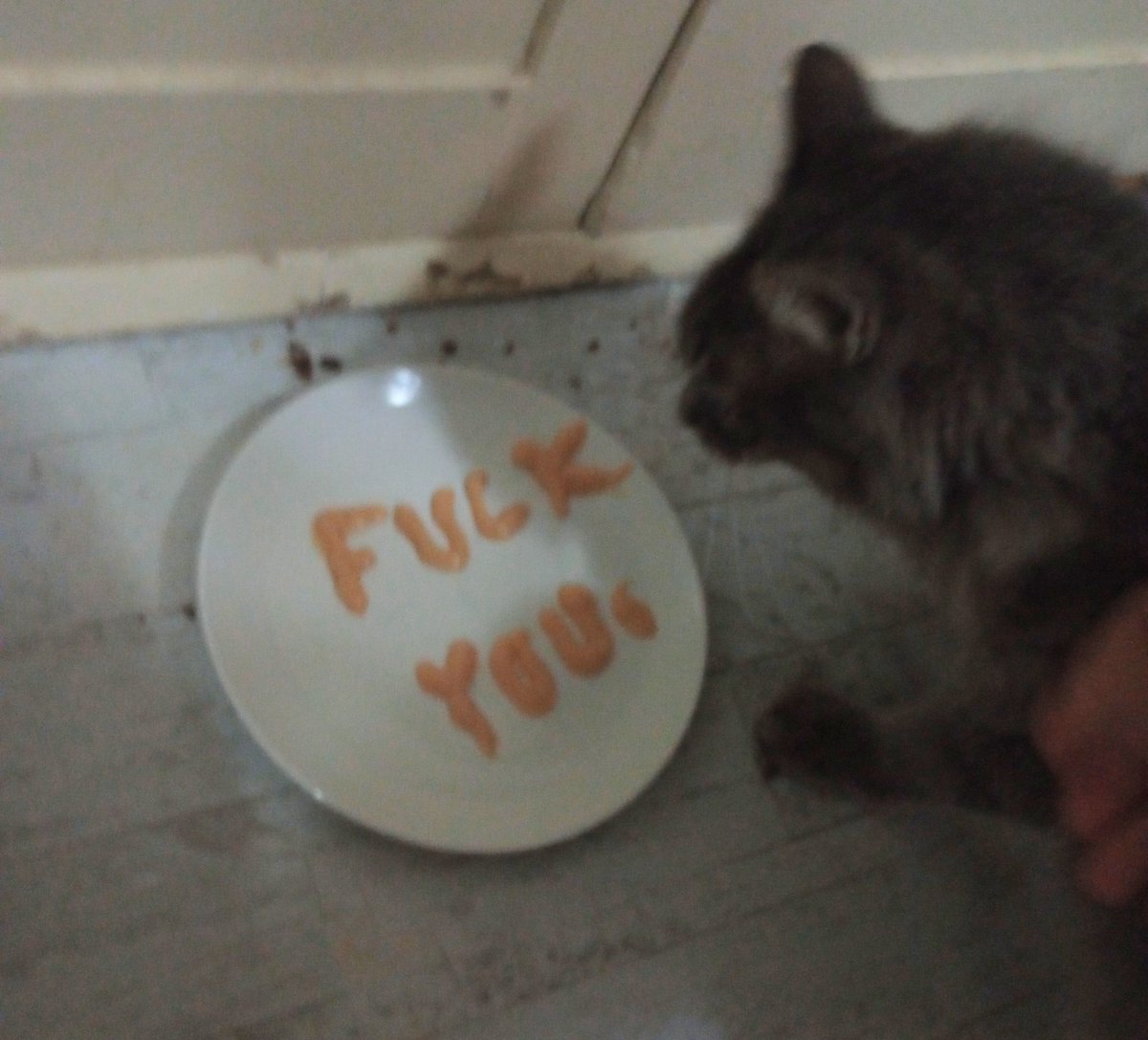 DumbNoms's tweet photo. what THE HECK https://t.co/wtCvvPiCF4