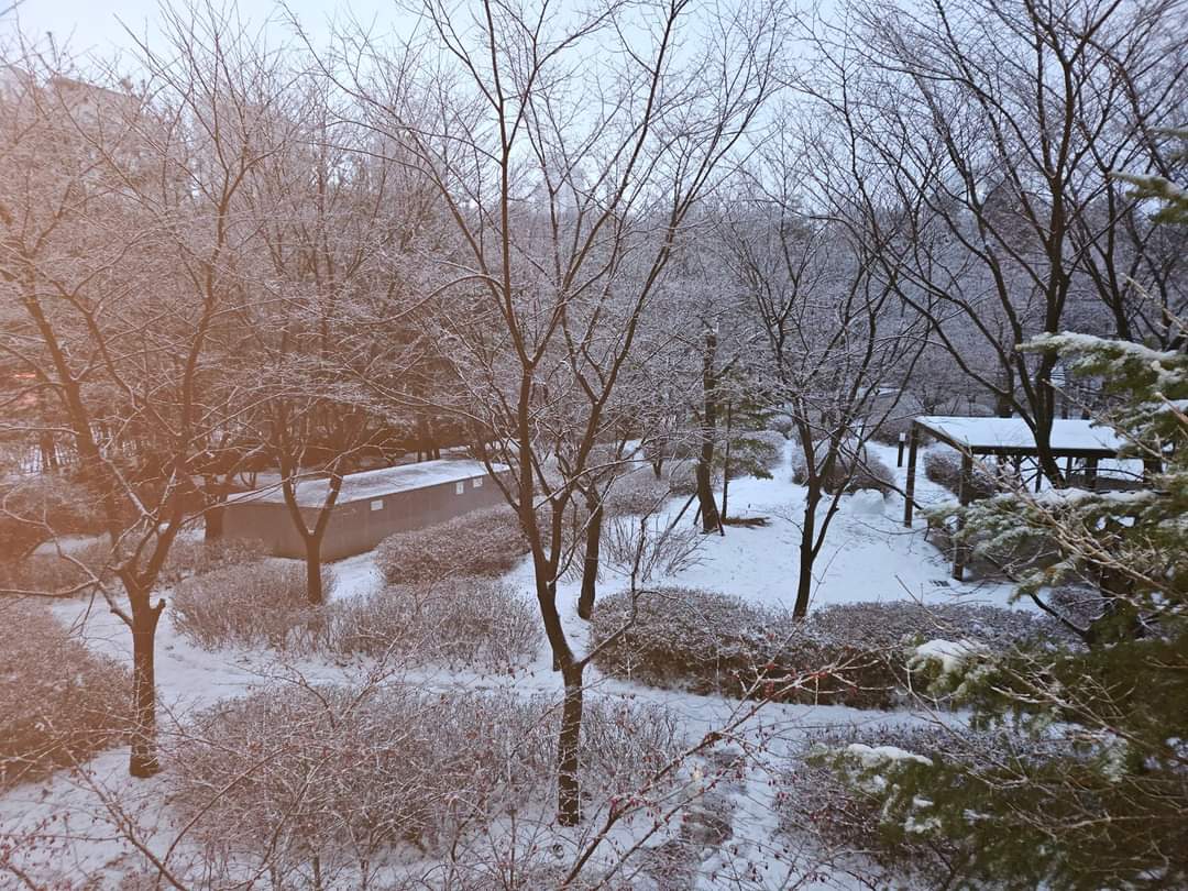 밤새 내린 눈에 비가 덧붙여 내립니다.

다행이 눈길이 얼어붙지는 않을듯 합니다.

힘들고도 어려웠던 2023년의 마지막 날.

평안히 잘 보내시고
새로운 용기와 희망으로 새해를 맞이하길 바랍니다.