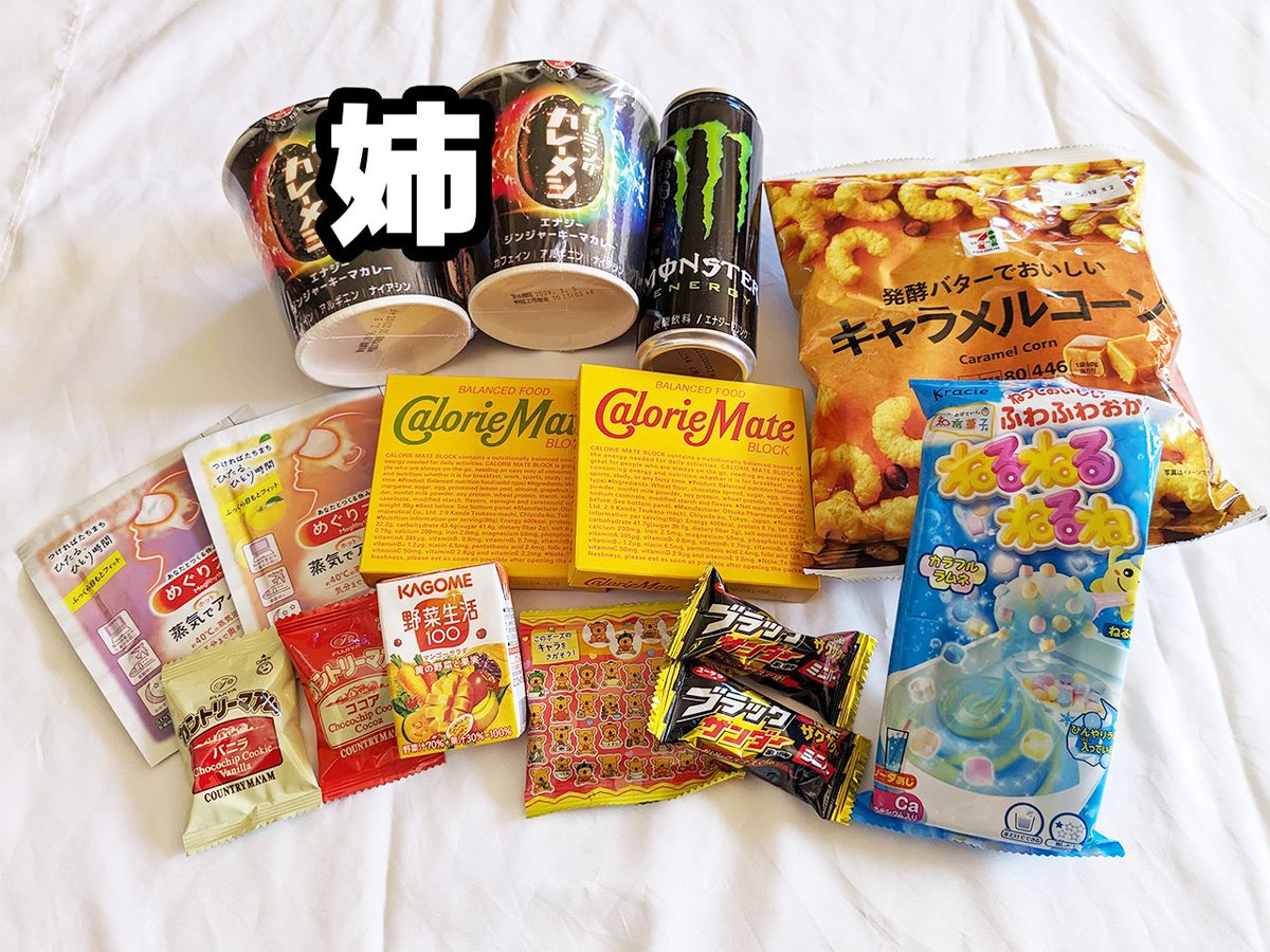 俺「コミケの差し入れのお礼を言おう！」 姉「並べ方が鑑識か！貸して