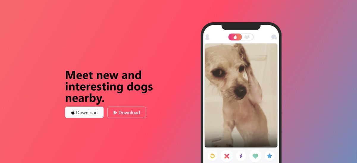 YuvrajShandily4's tweet photo. Today,i created a project using Html,css and Bootstrap that is Tindog
that is tinder for dog๐
thanks to @yu_angela for the great course on udemy.
https://t.co/HpM2BNnP0p
#webdevelopment #webdeveloper #programming #Coding #Udemy #CodeNewbie #100DaysOfCode #DevCommunity #FrontEn https://t.co/vfvZnCOad2