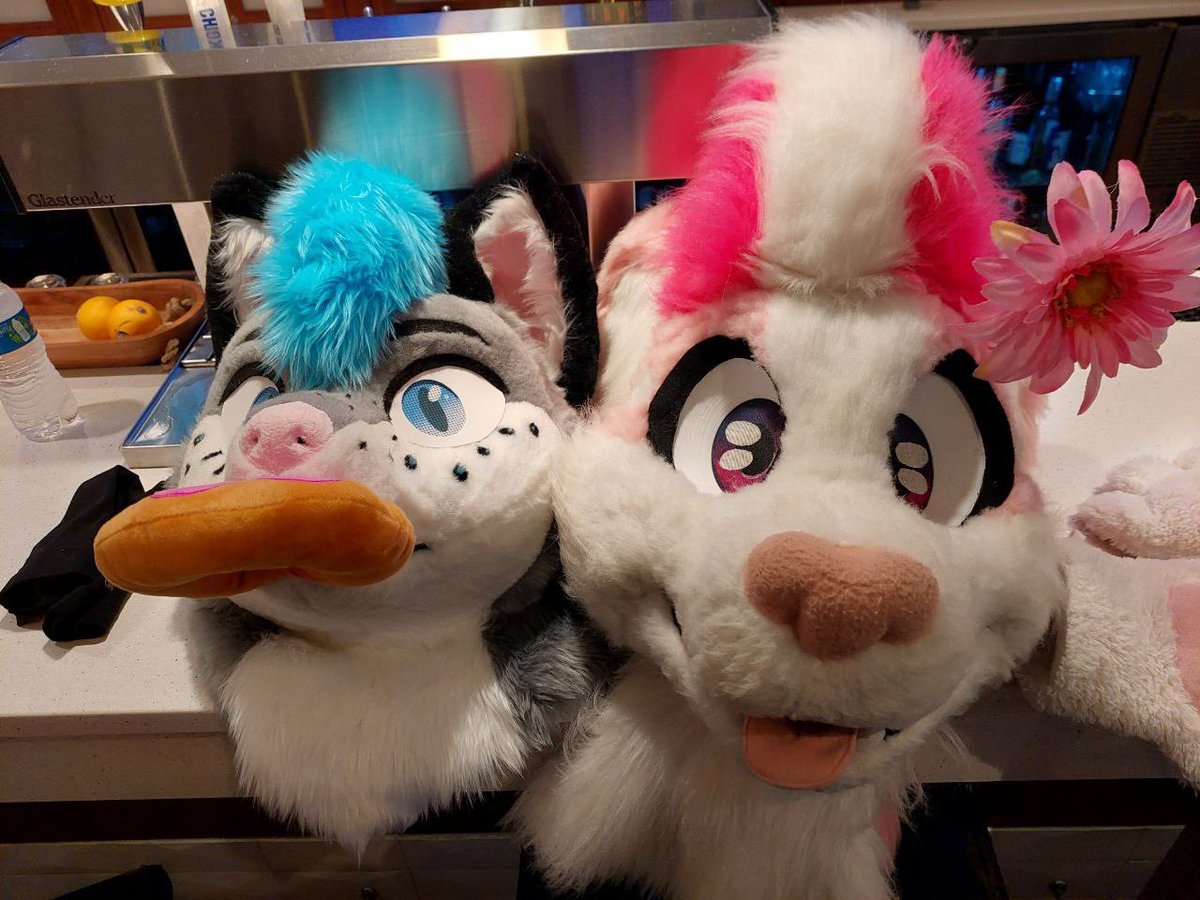 SparkieSlays's tweet photo. Happy New Years!!!
I wish everyone the bestest of days and may all your dreams come true ^w^ 
#Bewhiskered #NewYear #Furry https://t.co/yCbKv8JVBS