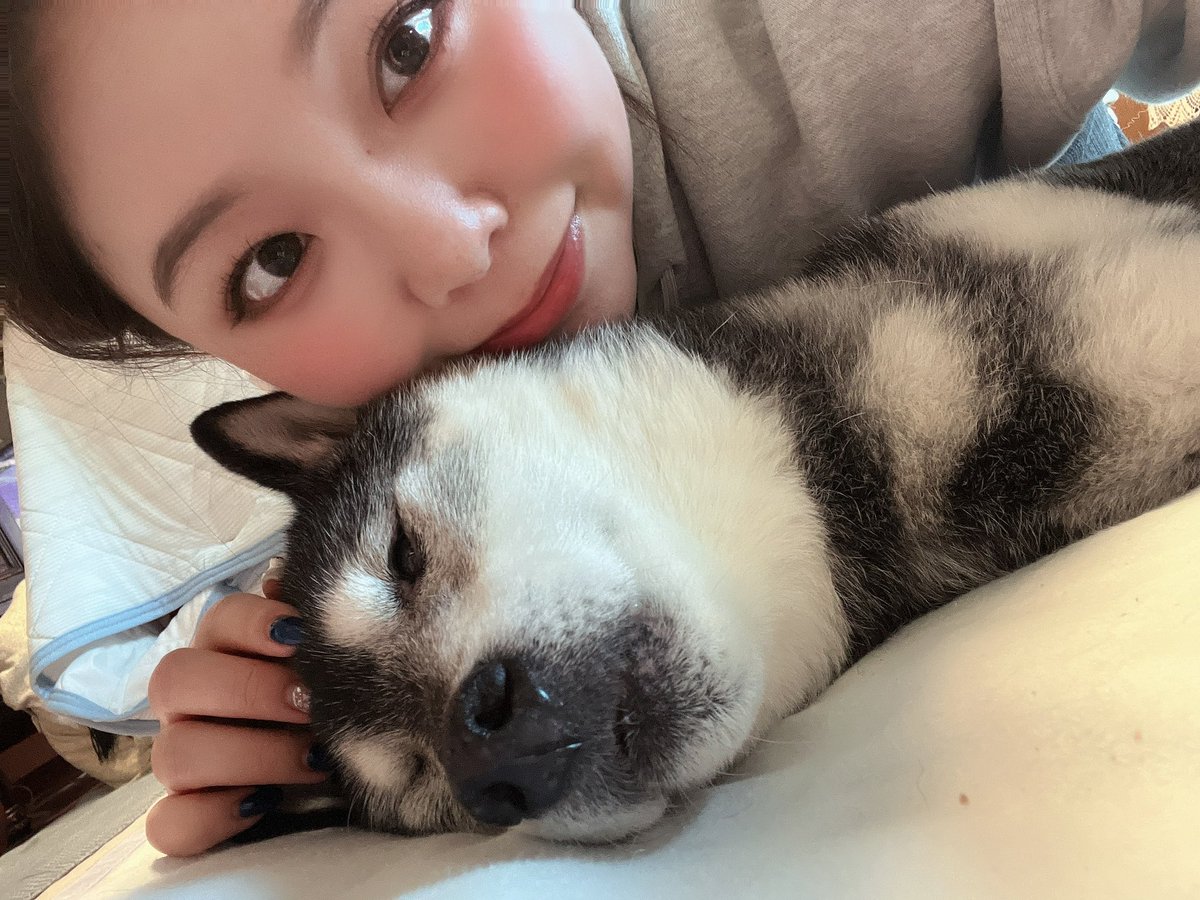 高野 春香 tweet media