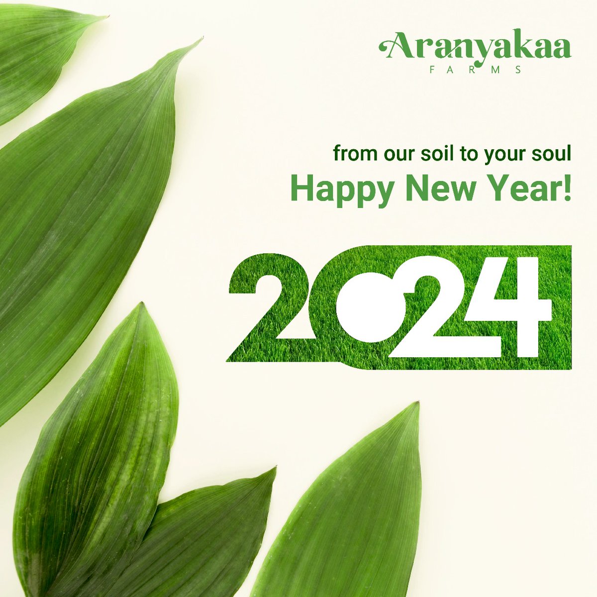 🌱 Planting smiles, harvesting joy! From our soil to your heart, Happy New Year 2024! 🎉Let's cultivate laughter, grow happiness, and sow the seeds of a fantastic year ahead! 🌟 #FarmFreshStart #GreenCheers #HappyNewYear2024 #AranyakaaAdventures 🚜🌈