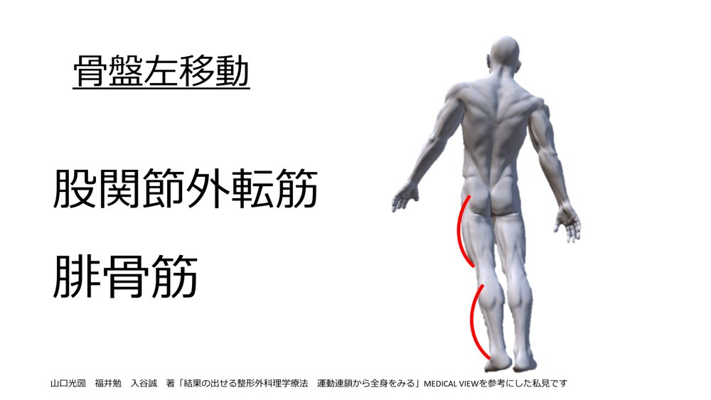 miya366494678's tweet photo. 骨盤の挙上、移動位を確認すると負担のかかっている筋肉を予測することが出来ます
骨盤の動きは歩行観察でも比較的見やすい所なので、骨盤の挙上は出現するか？どちらに移動するか？を注意しながら歩行を観察してみてください
そうすると特に股関節周囲の症状と歩容を結びつけることが出来ます https://t.co/aXPrRiOmQL