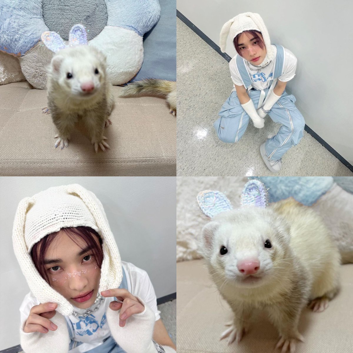 ૮ ˶ᵔ ᵕ ᵔ˶ ა