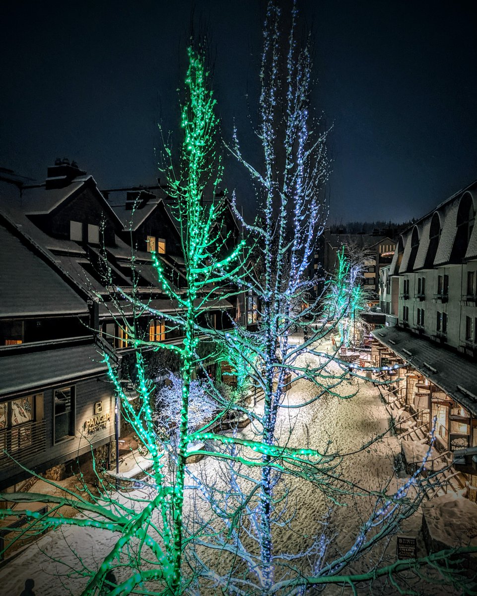 Modularacks's tweet image. Goodbye 2023, hello 2024! 👋

We cannot wait to see what neat ideas you all have in store when it comes to outfitting your vehicles this year! 
-
#leavenothingbehind #doorsteptodestination #modularacks #newyears #2024 #newyear #holidays