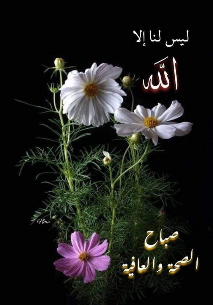 صباح الخير
1_1_2024