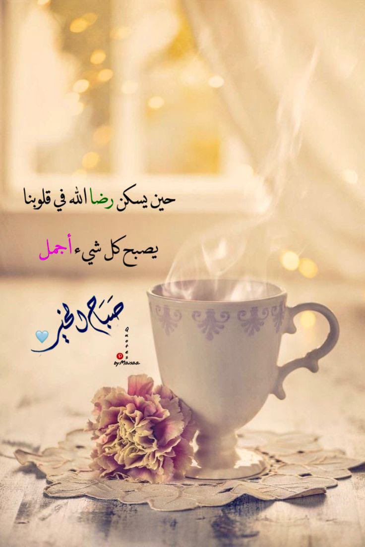 كُليزار أنور tweet media