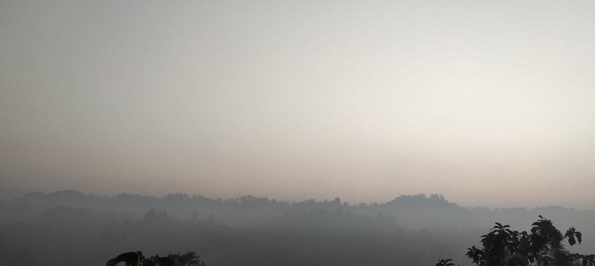 Happy New Year 2024💚