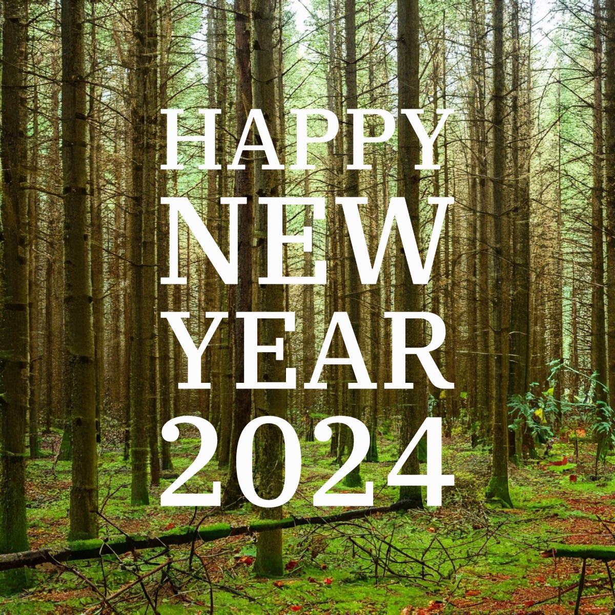 Wishing everyone a wonderful 2024