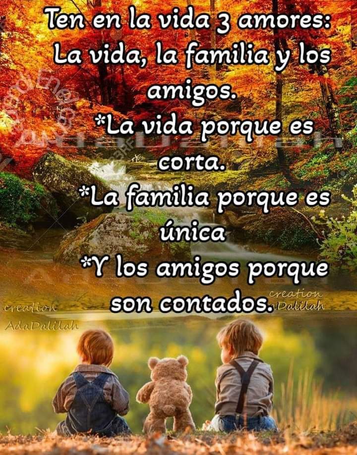 VidaEquilibrada (@vidaequilibrad4) on Twitter photo 