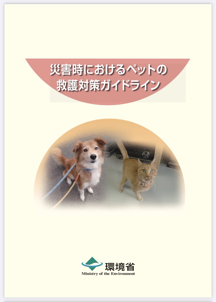 𝙇𝙊𝙉 tweet media