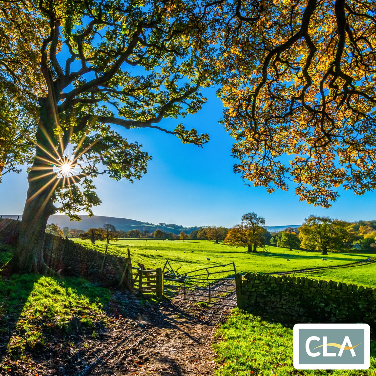 Wishing a very #HappyNewYear all CLA members and supporters. 🌤️

We look forward to seeing what 2024 will bring!