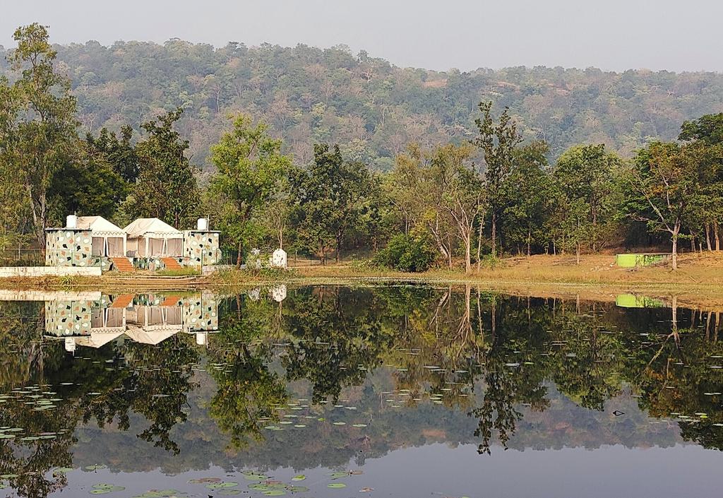 आंग्ल नववर्ष 2024 की हार्दिक बधाई ...

#nature #naturephotography #chhattisgarh #hamarchhattisgarh #naturelovers