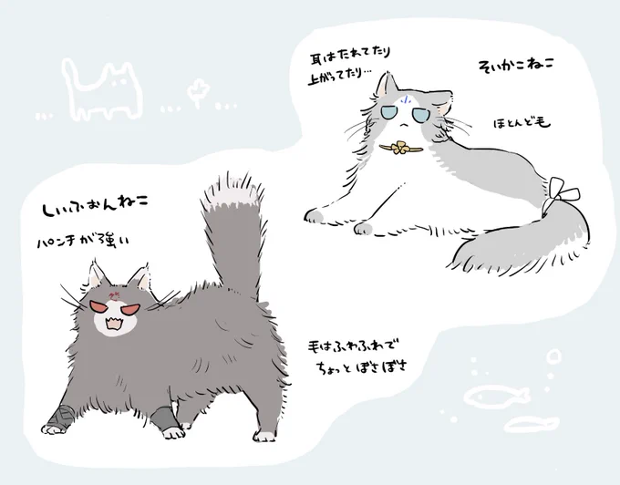 TLの猫飼いを羨ましく思いつつ、ねこです 