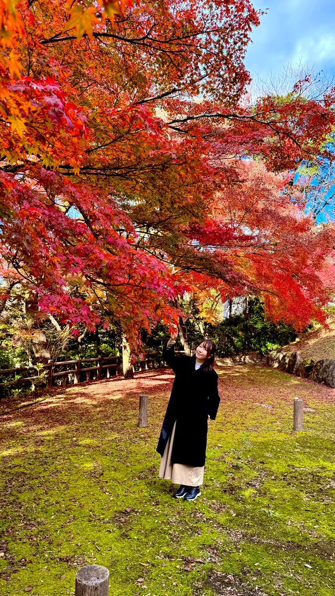 ここね(Kokone) (@kokone_h) / Posts / X