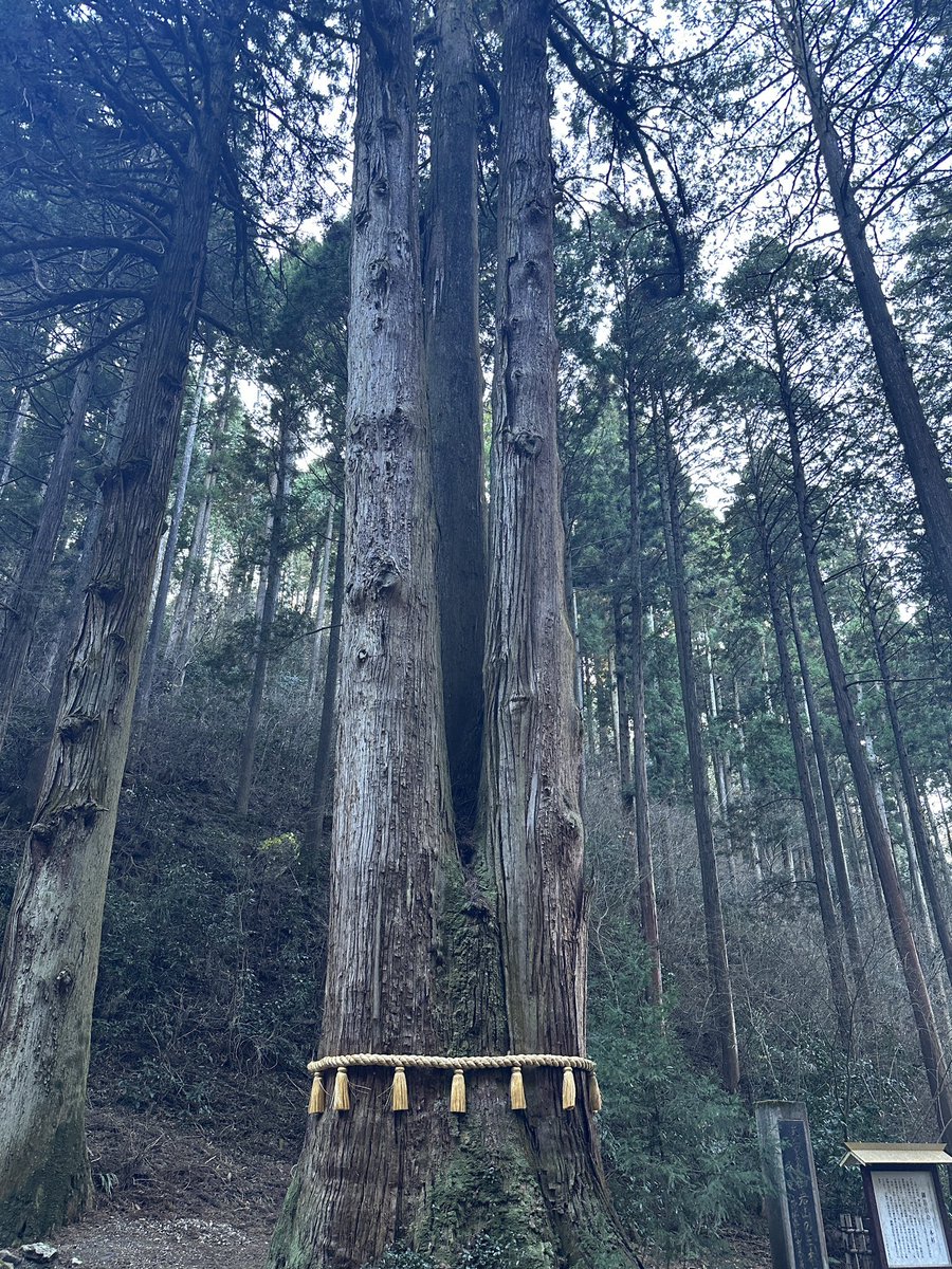 keisukeparty's tweet photo. 関東有数のパワースポット御岩神社を参拝🙏初詣。パワー頂きました。 https://t.co/0V4N6n6iR8