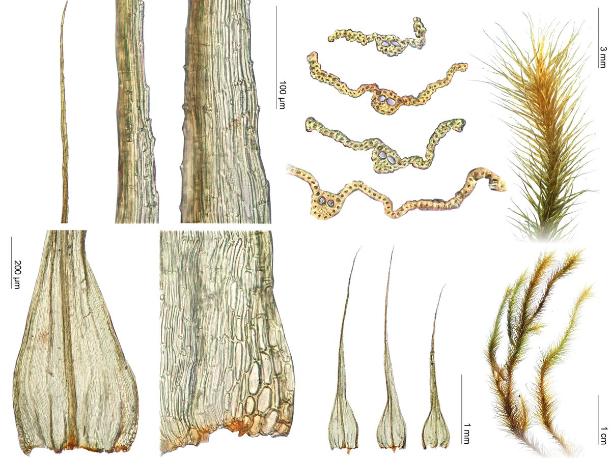 Michael Lueth tweet media