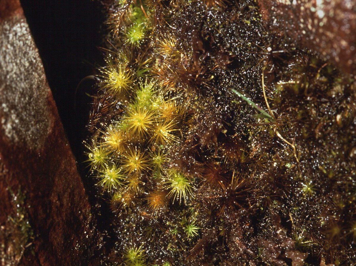 Michael Lueth tweet media