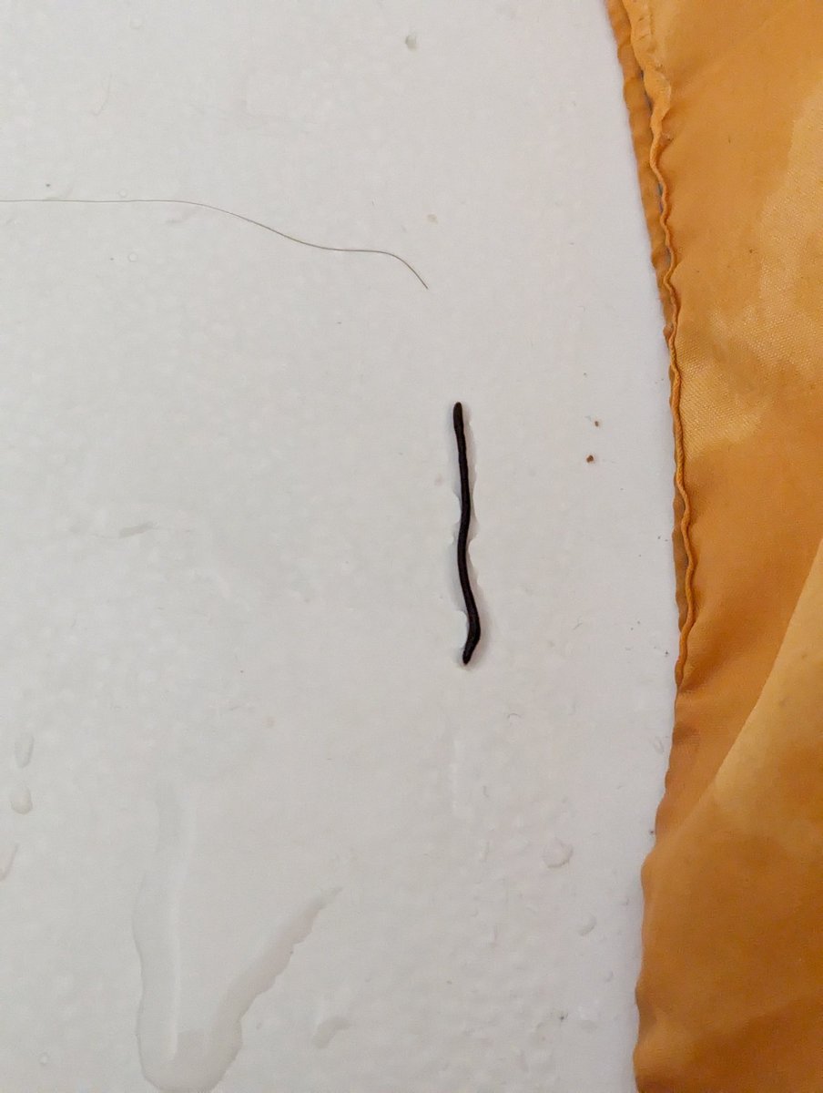 Flayme (Middle) tweet media