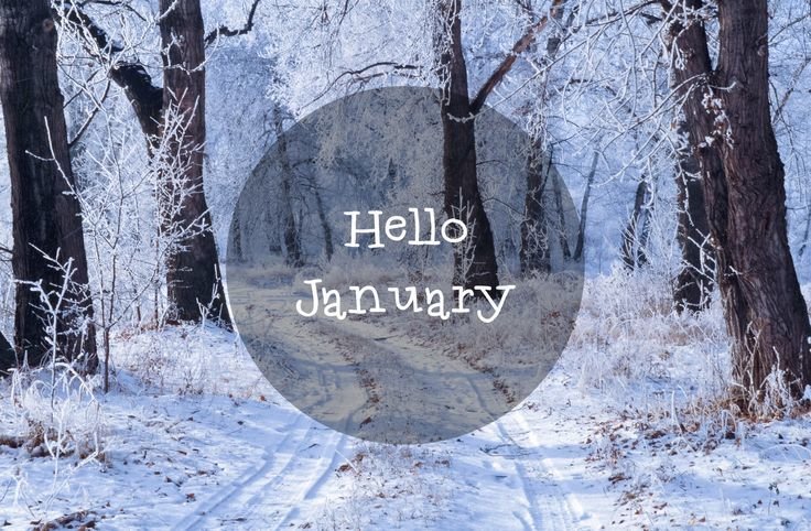 zmay_maya's tweet image. #hellojanuary ❄🎀 #january1st ❄🎀 #NewYear ❄🎀 #newmonth ❄🎀 #NewBeginnings ❄🎀 #MondayMotivation ❄🎀
🍀🍀🍀🍀🍀🍀🍀🍀🍀🍀🍀🍀🍀🍀😊