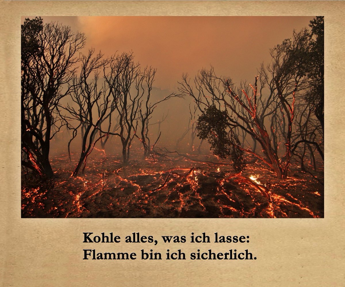 aletheia__'s tweet photo. Geride bıraktığım ne varsa kül: 
Ateş benmişim demek ki. 

nietzsche