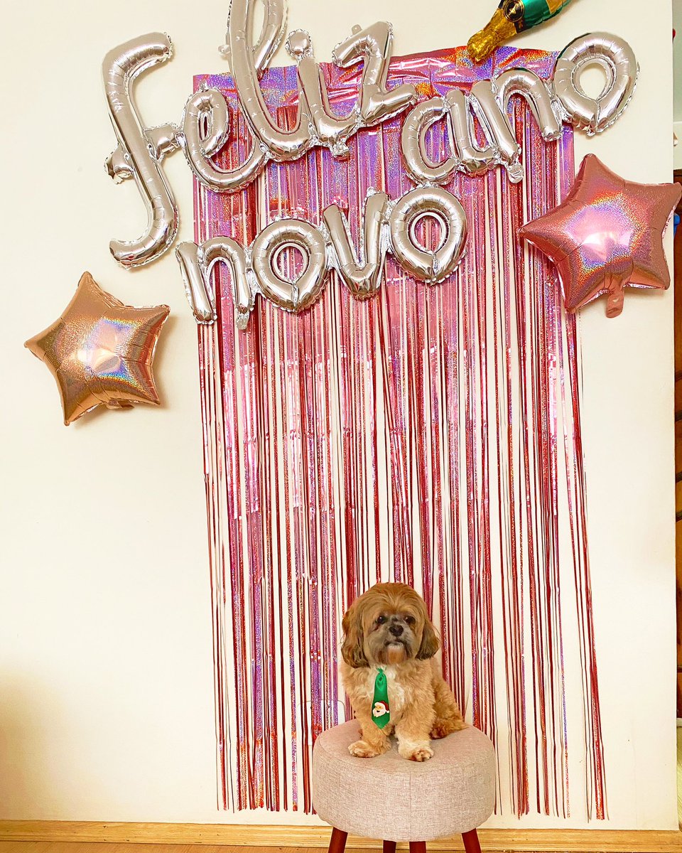 Laíssa Alves tweet media