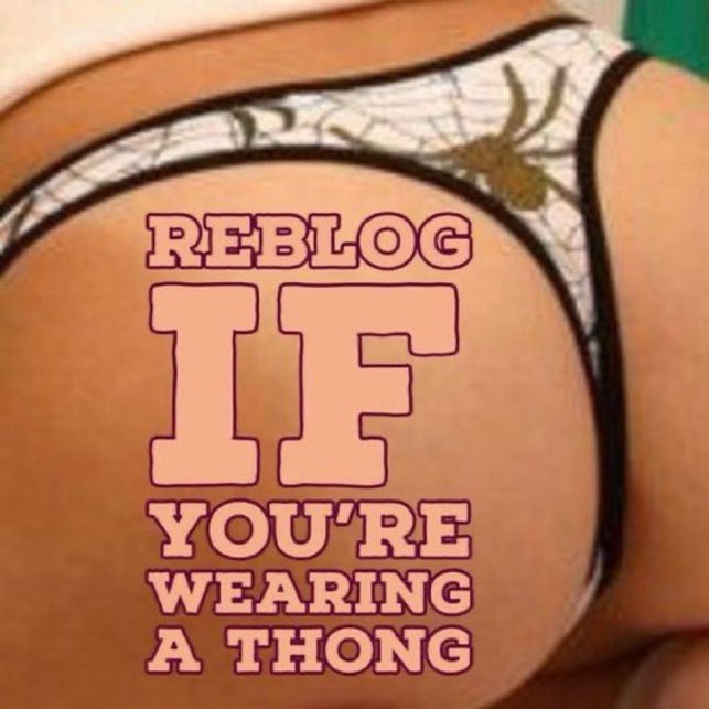 Reblog slut