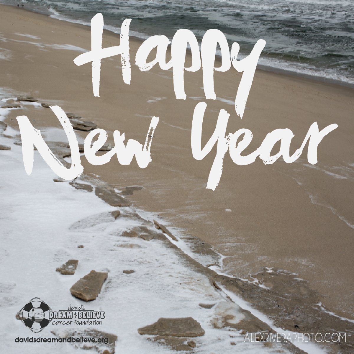 David's Dream & Believe Cancer Foundation (@ddbcf) on Twitter photo Wishing everyone a very Healthy and Happy New Year from all of us <a href="/DDBCF/">David's Dream & Believe Cancer Foundation</a>! Wishing everyone a very Healthy and Happy New Year from all of us <a href="/DDBCF/">David's Dream & Believe Cancer Foundation</a>!