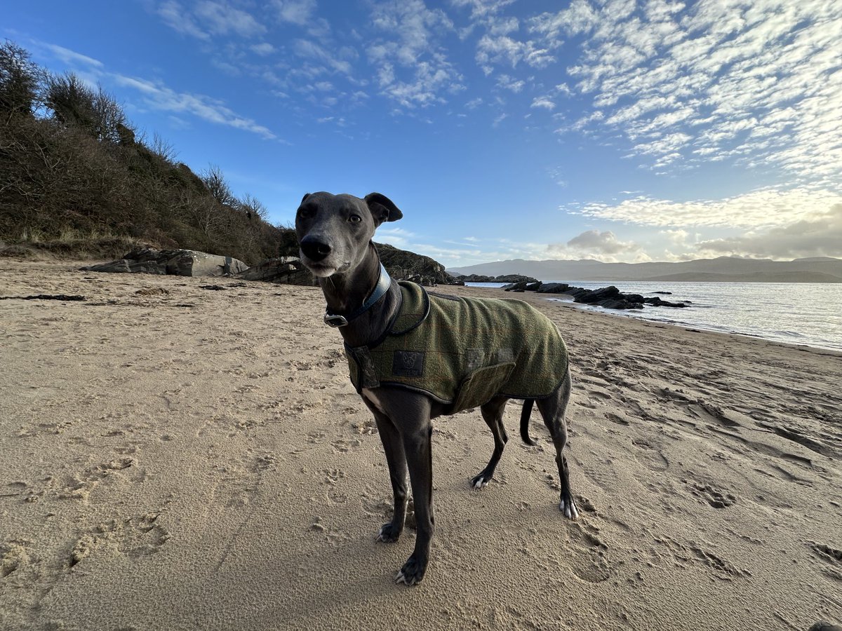 Nick Carter (@epsenvuk) on Twitter photo 