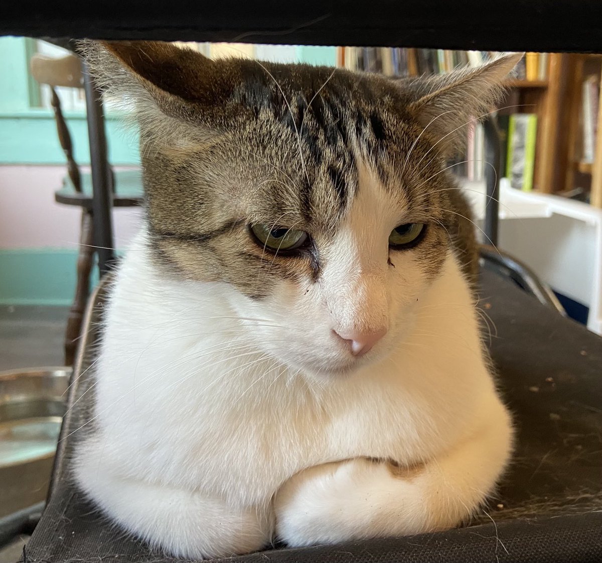 shannonminter5's tweet image. The president of our #doers club.