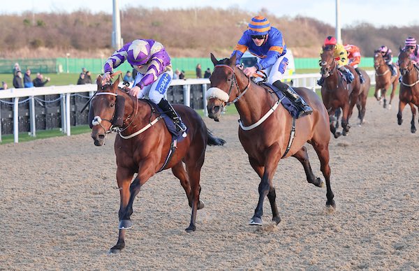 RACE 1 - @BetUKOfficial Home Of The Acca-Fenwa Handicap 🥇Zealandia Jockey: @ianwilliamsraci Trainer: @ONaillers2010 #NewcastleRaces @grossickphoto