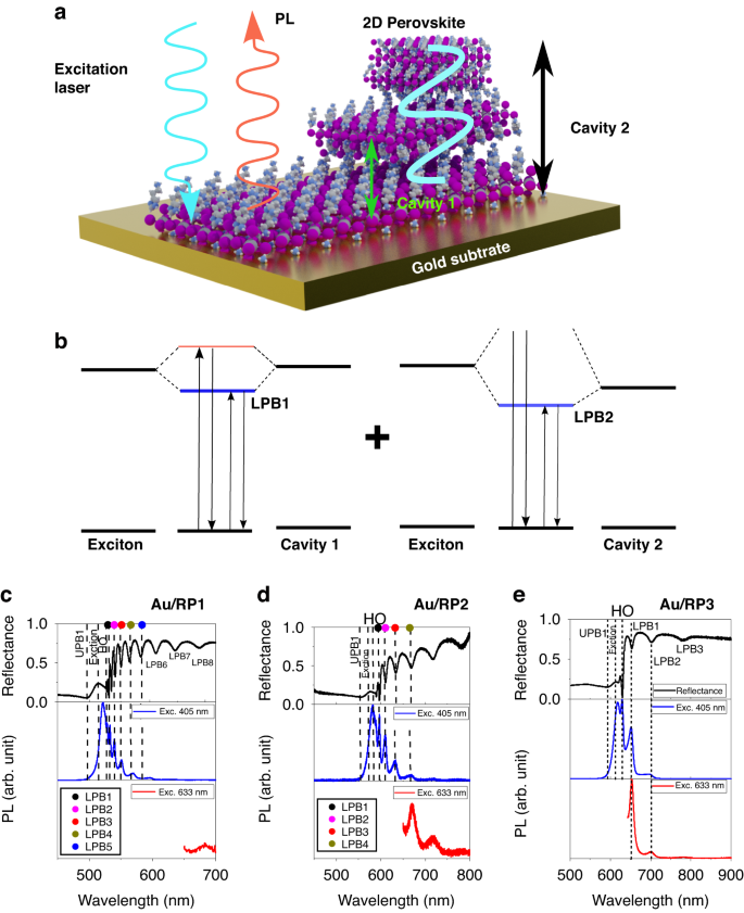 LightSciAppl's tweet image. #LSA_Highlight: [Article] Dynamics of self-hybridized exciton–polaritons in 2D halide perovskites. @Penn @KBRincorporated @AFResearchLab @UW @EmoryUniversity @RiceUniversity @Columbia 
Keywords: #Optical_Materials_and_Structures, #Polaritons. 
Link: nature.com/articles/s4137….