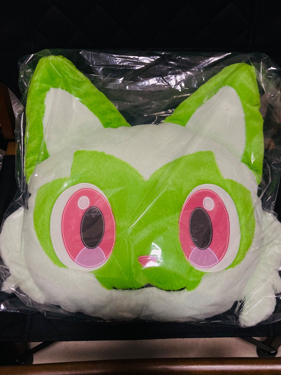 netanaiyo's tweet photo. 【交換】ピカピカボックス クッション ふわふわフェイスクッション

譲→ニャオハ

求→ホゲータ

大阪梅田、新大阪にて手渡しでご交換お願いいたします。検索からもお気軽にお声掛けください。 https://t.co/2FJQ9mmKTh