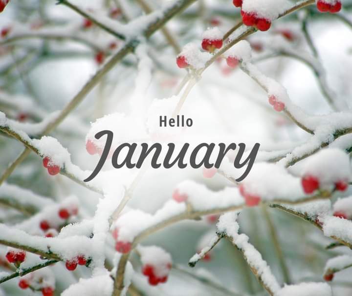 LuvDani_xoxo's tweet image. #HelloJanuary! 🎉🥂❄️🎂🩷