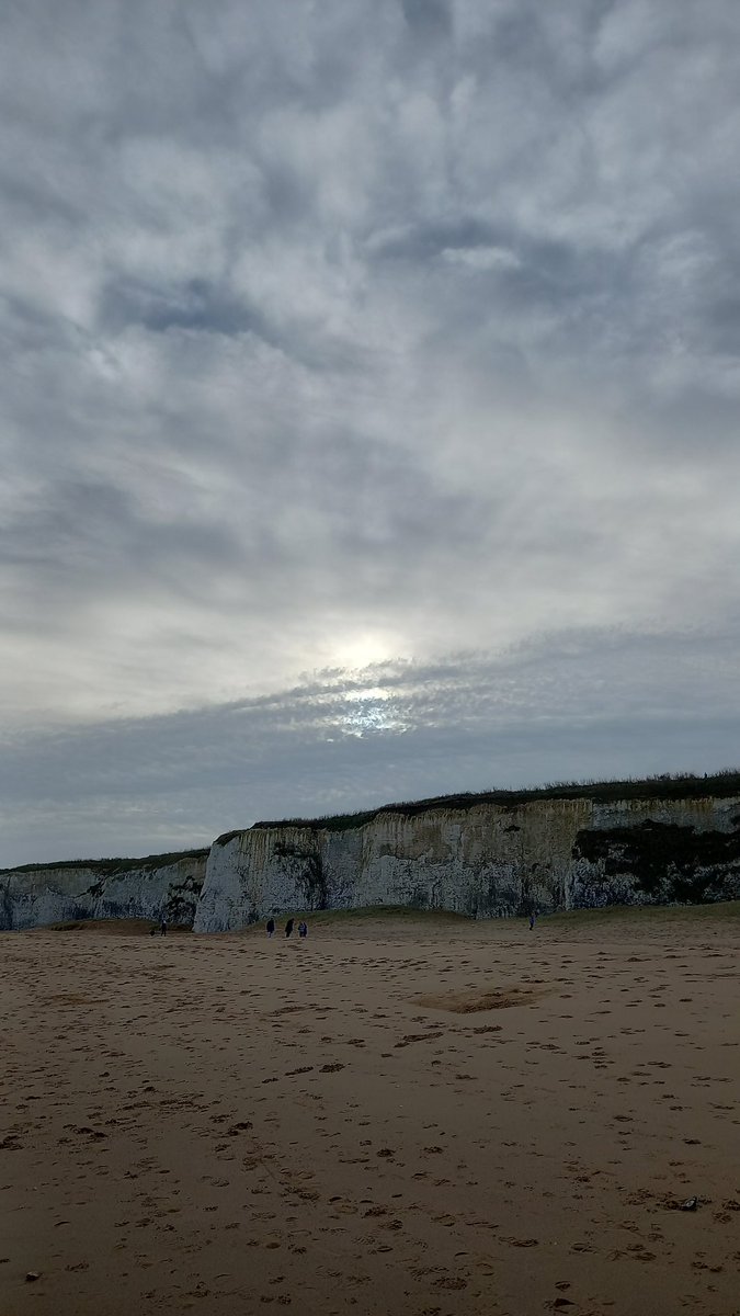 Sara Turle 💙 tweet media