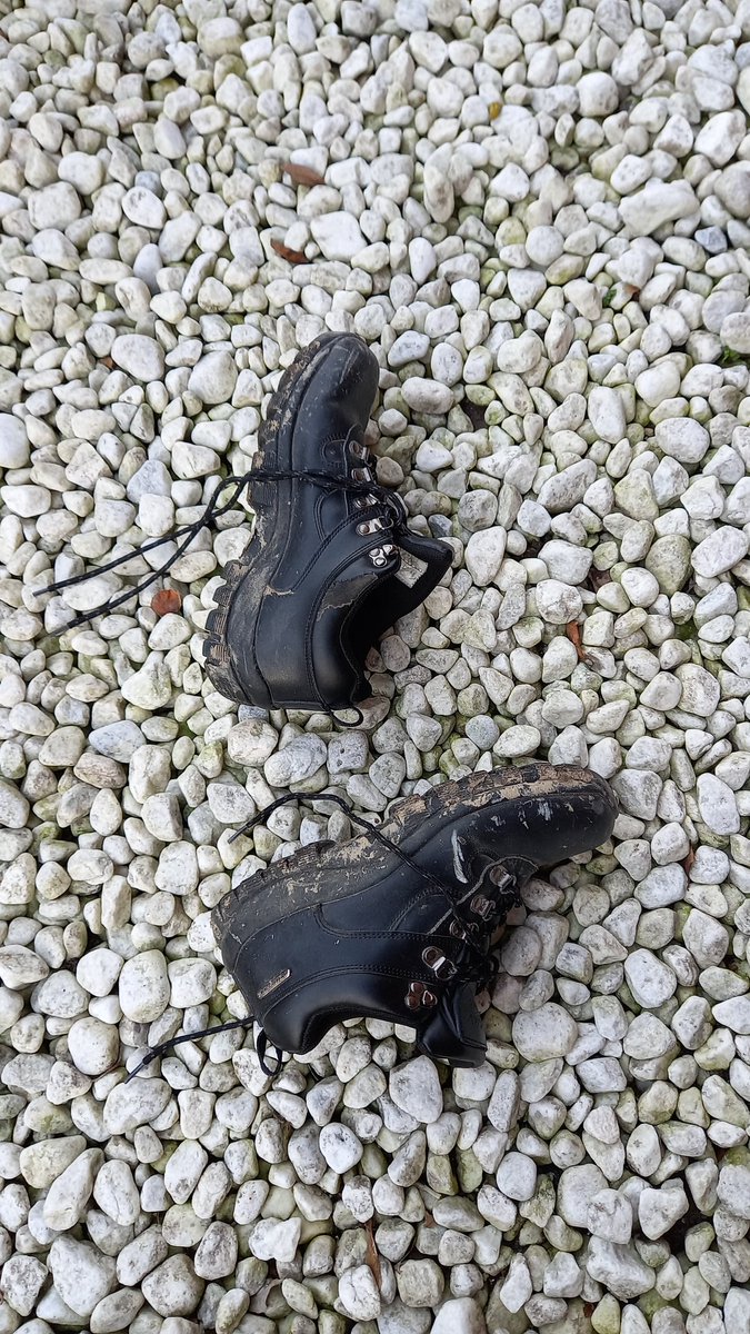 Sara Turle 💙 tweet media