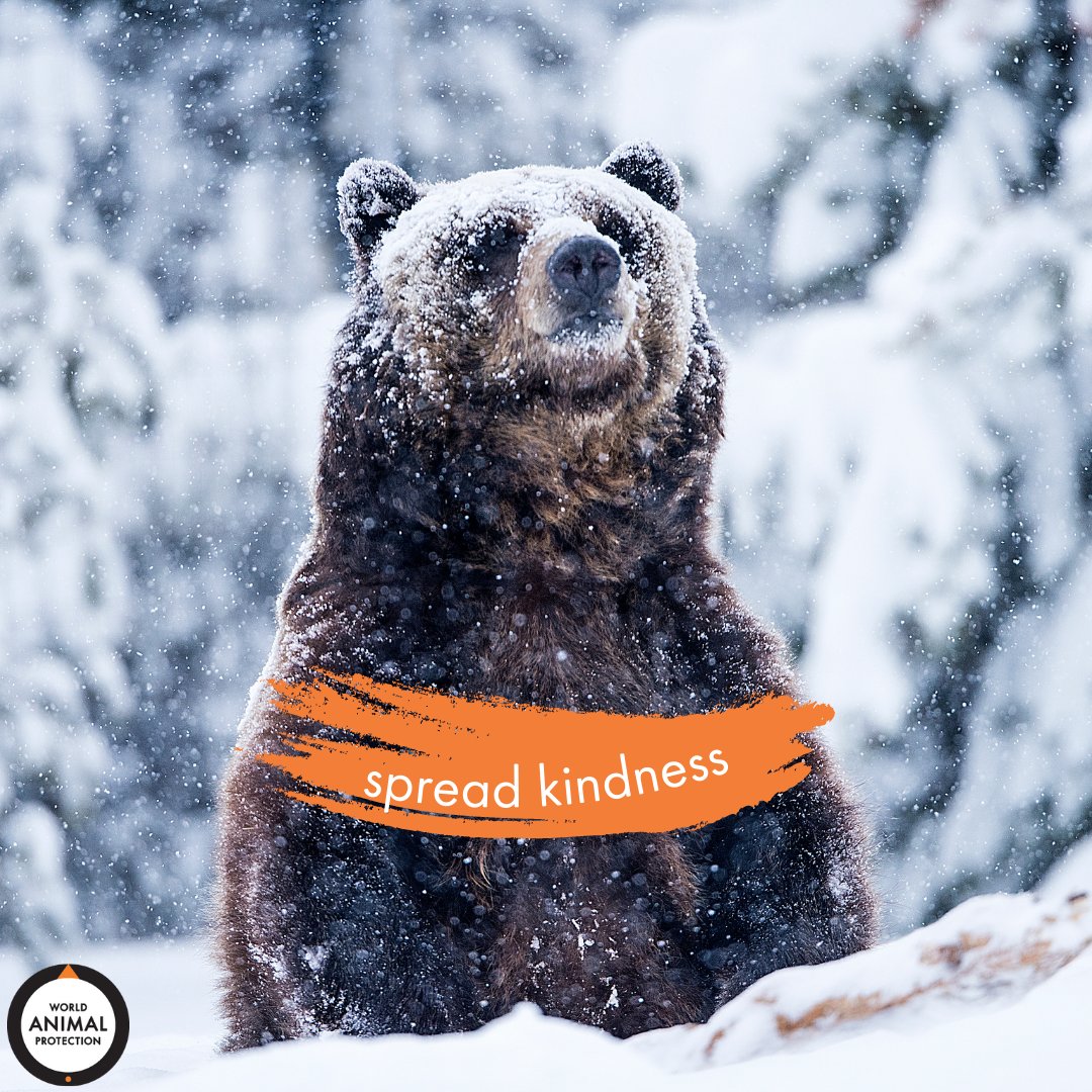MoveTheWorldUS's tweet photo. Kindness is everything. 🧡 https://t.co/xBJBxxPILh