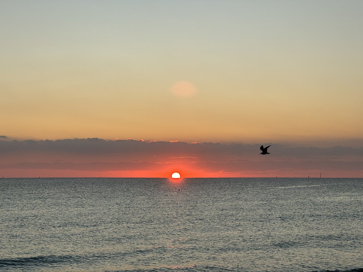 Rakshit_Ag's tweet photo. Welcoming 2024 with a sunrise run  #HappyNewYear #sunrise https://t.co/TYYhxPUEs9
