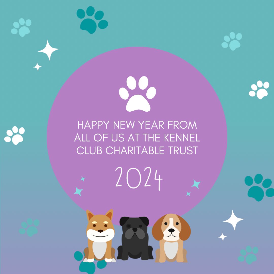 Well friends in our phone - 2023 - what a year it's been 🥺🙏🏻 &amp; we couldn't have done it without YOU - our Supporters. A huge WOOF &amp; thank you to every single one of you! 🐾💜

Wishing you health &amp; happiness as we enter into the chapter that is 2024. #kcct #kccharitabletrust