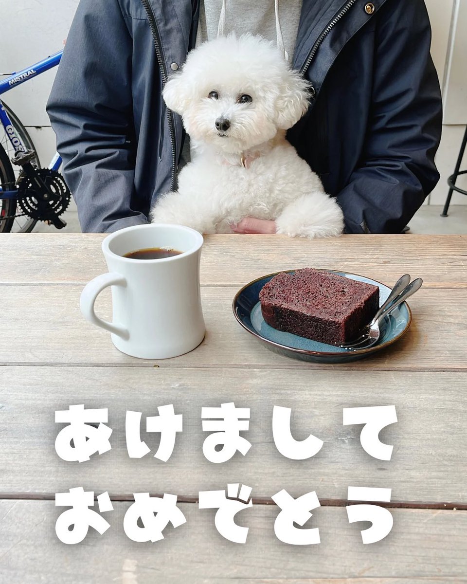 一通り送ってから「し」がないことに気がついて作り直しました。今年もよろしくです🫡