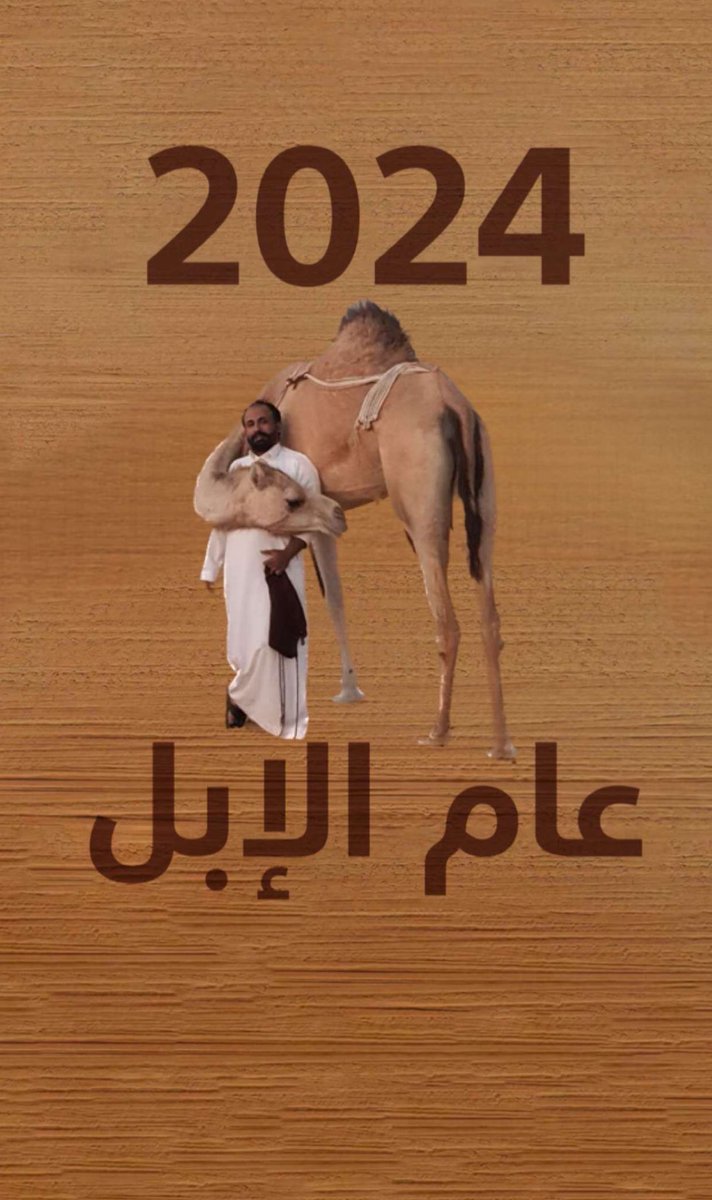 #عام_الإبل_2024